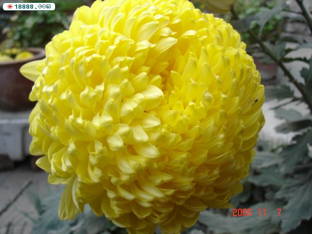 DSC02945.JPG