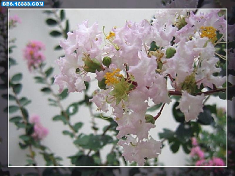 修改过的照片 030.jpg