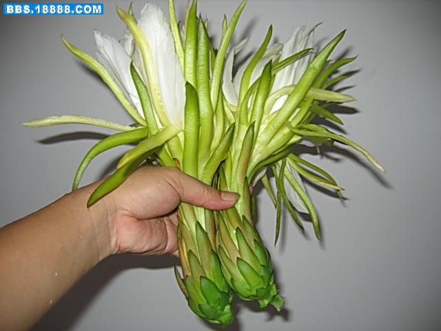 照片 008.jpg