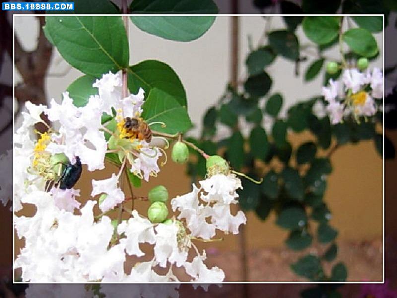 修改过的照片 026.jpg