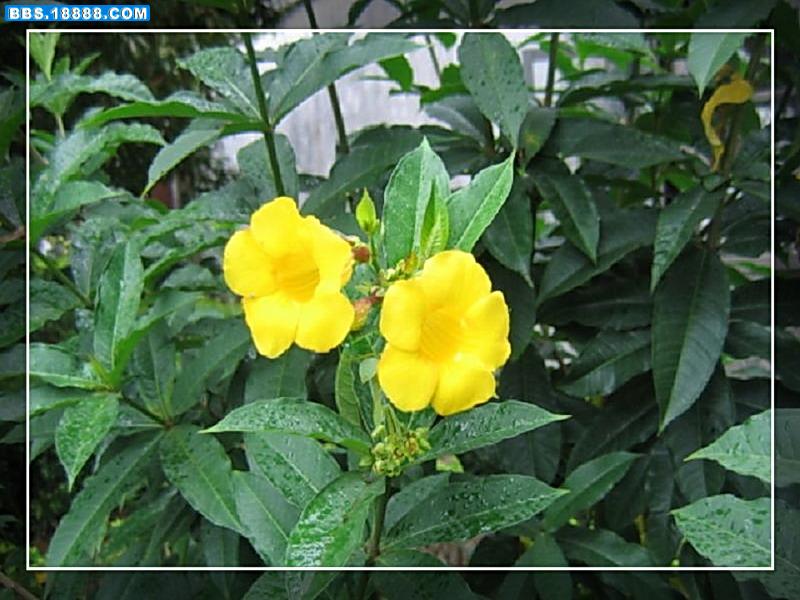 修改过的照片 044.jpg