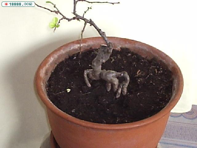 P1020019.JPG