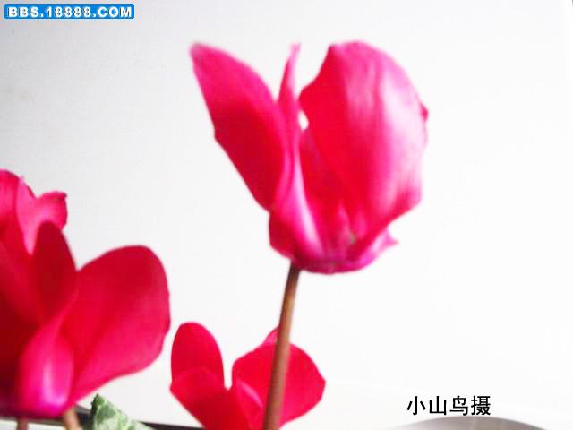 调整大小 P1210005副本.jpg