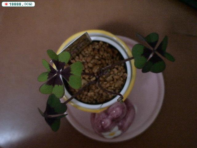 DSC00363.JPG