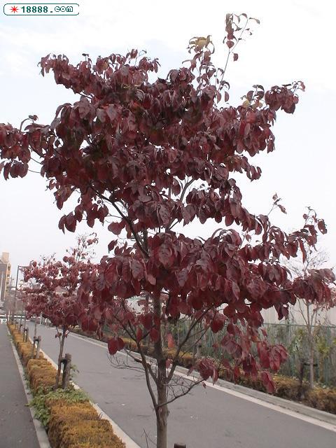DSC00124.JPG