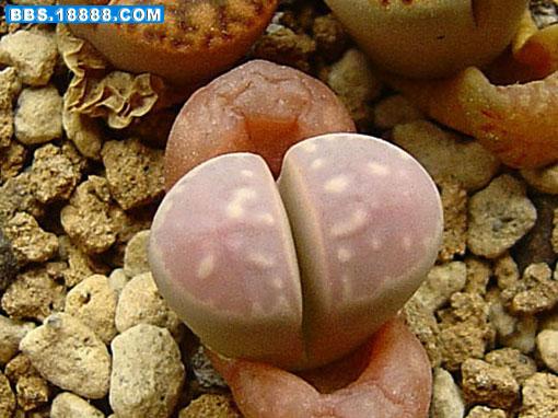 照片 025.jpg
