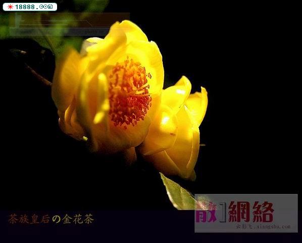 调整大小 重新曝光 20061314513137.jpg