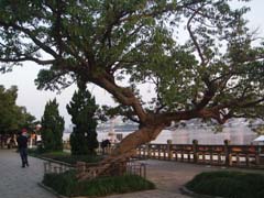P1010253x.jpg