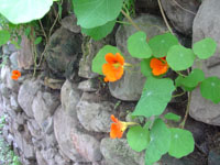 DSC01748.JPG