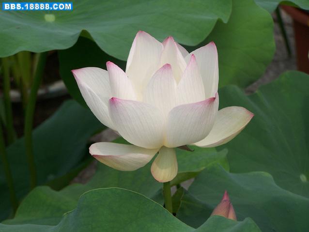 100_5177.jpg