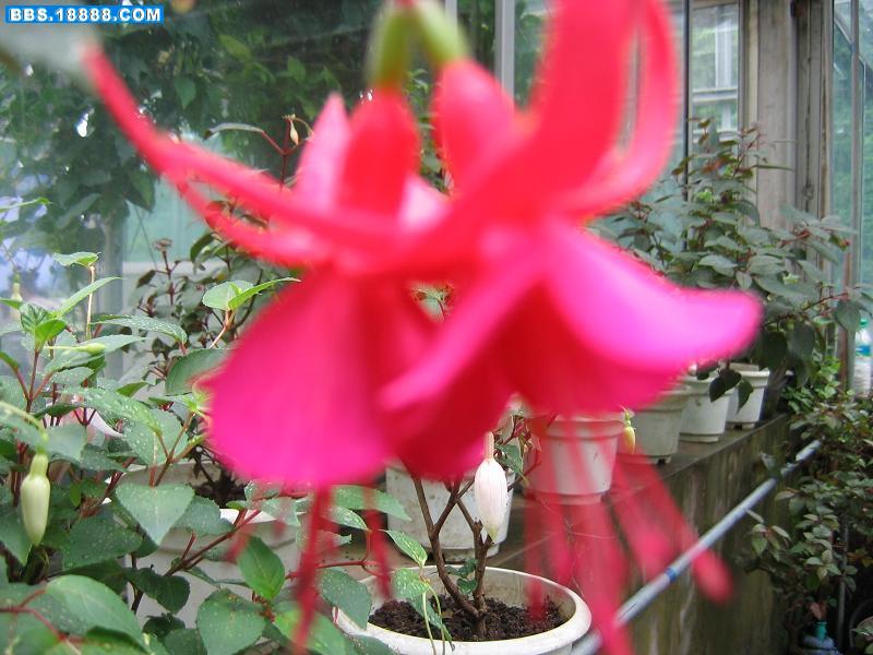 照片 1180.JPG