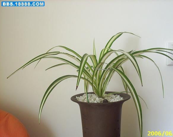 PIC_0005.JPG