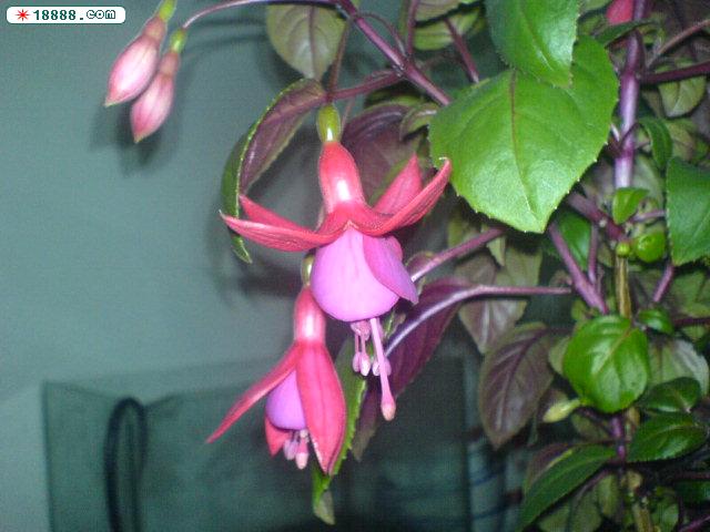 DSC00019.JPG