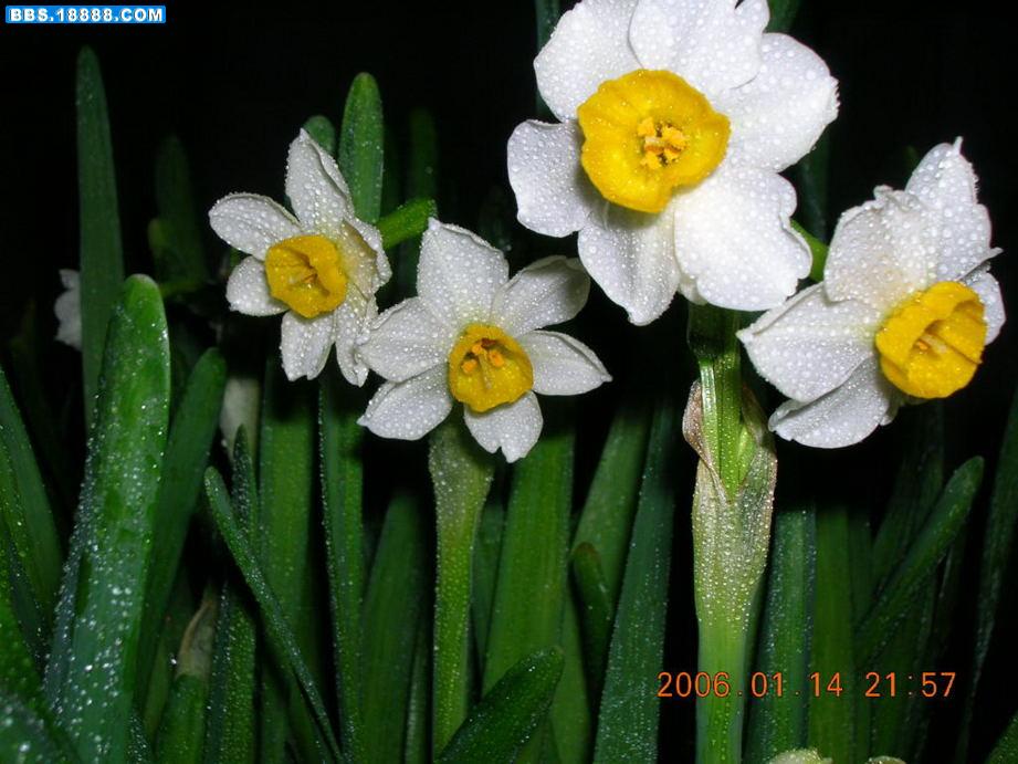 DSCN1364.JPG