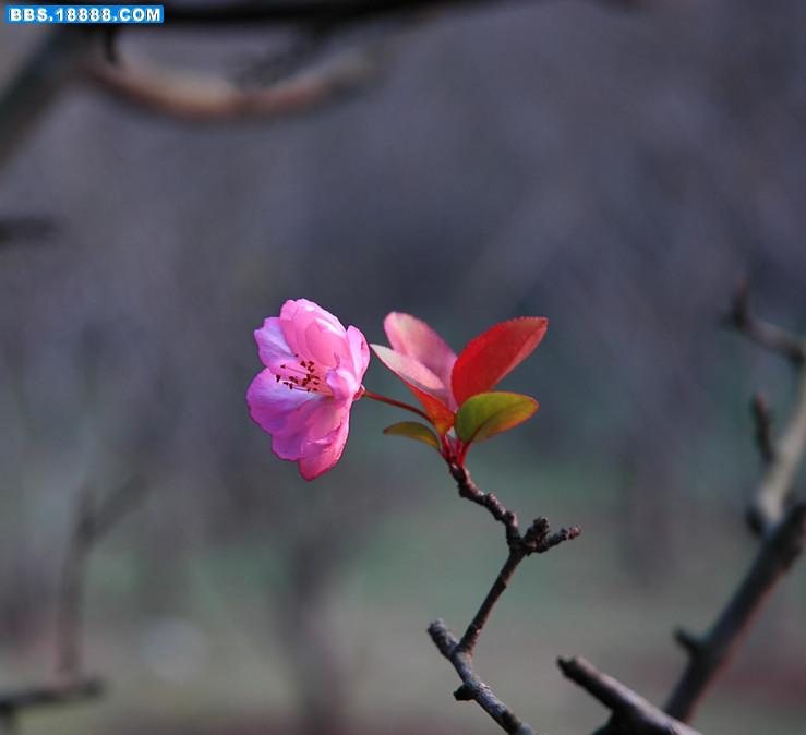 DSC_0043.JPG