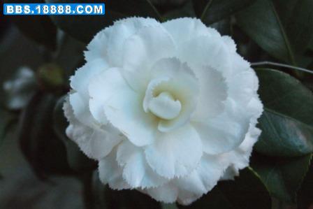 DSCF2964.JPG