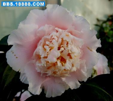 DSCF3861.JPG