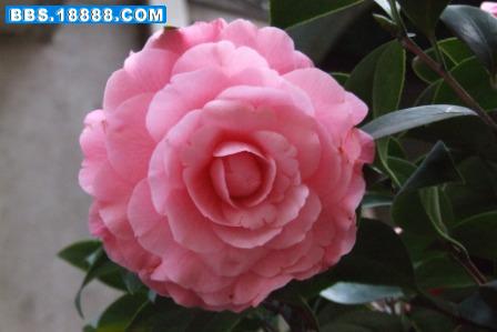 DSCF2691.JPG