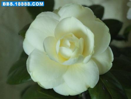 DSCF3057.JPG
