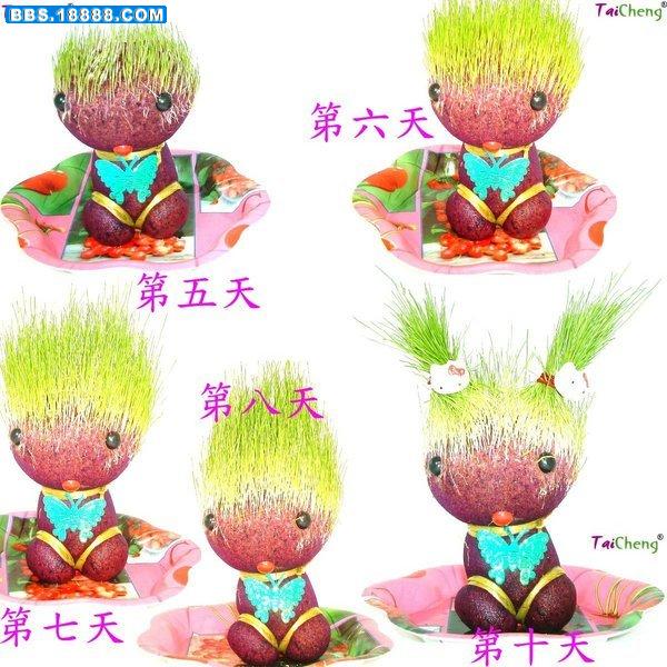 綠毛怪四兄弟２.JPG