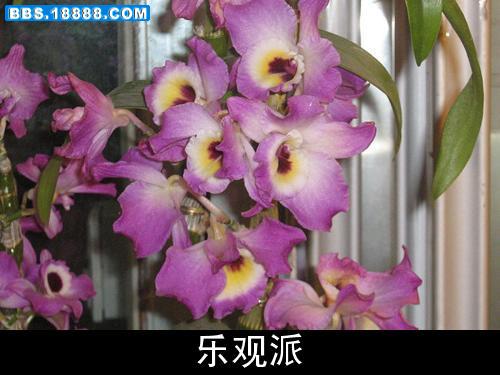 花7.jpg