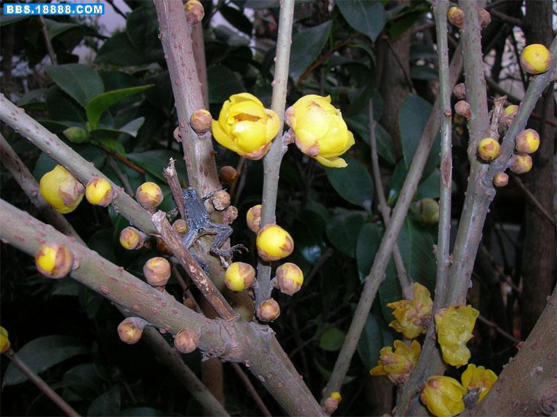 DSCN4859.jpg