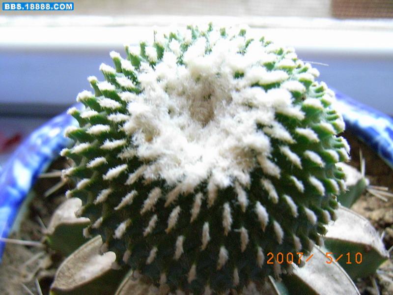 RIMG0591.jpg