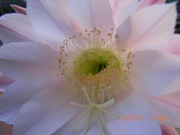 RIMG0038.JPG