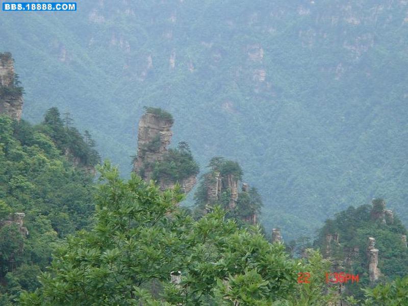 西海峰林7.JPG