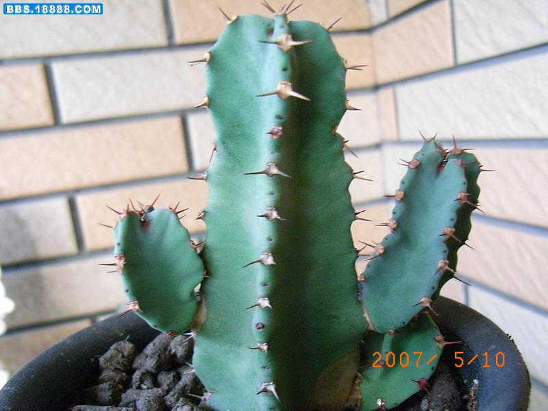 RIMG0605.jpg
