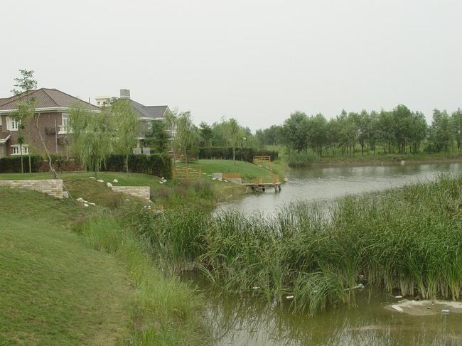 温泉城3.JPG