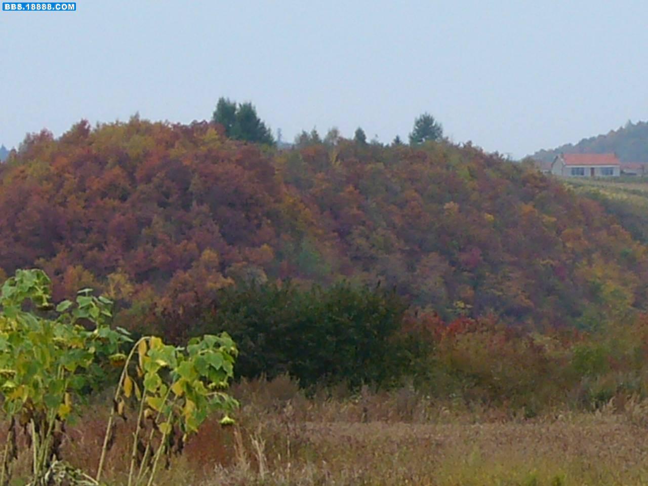 长白山13.jpg