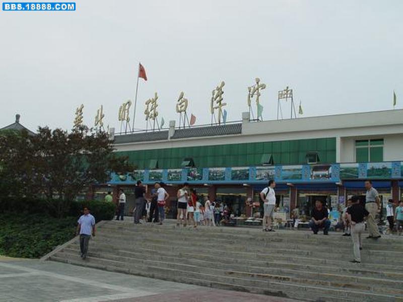 白洋淀.JPG