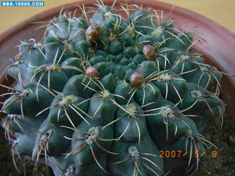 RIMG0569.jpg