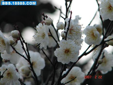 070219 281_缩小大小.jpg