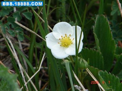 DSC05410_调整大小.JPG