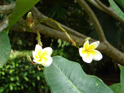 DSC02652_调整大小.JPG