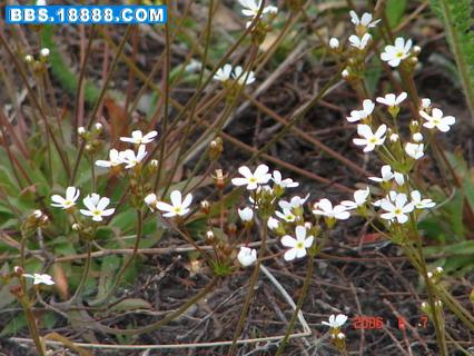 DSC05409_调整大小.JPG
