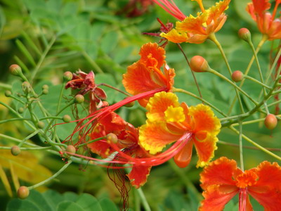 DSC02650_调整大小.JPG