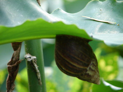 DSC02697_调整大小.JPG