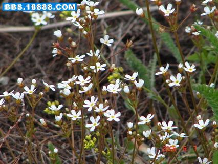 DSC05408_调整大小.JPG