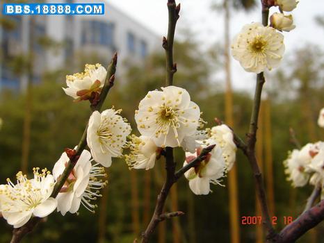 070219 011_缩小大小.jpg