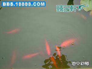 DSCF3807副本.jpg