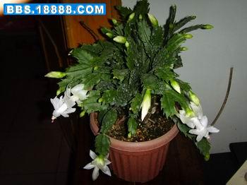 照片 057.jpg