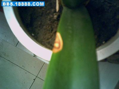 photo04.JPG