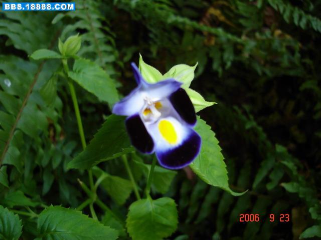 DSC02093.JPG