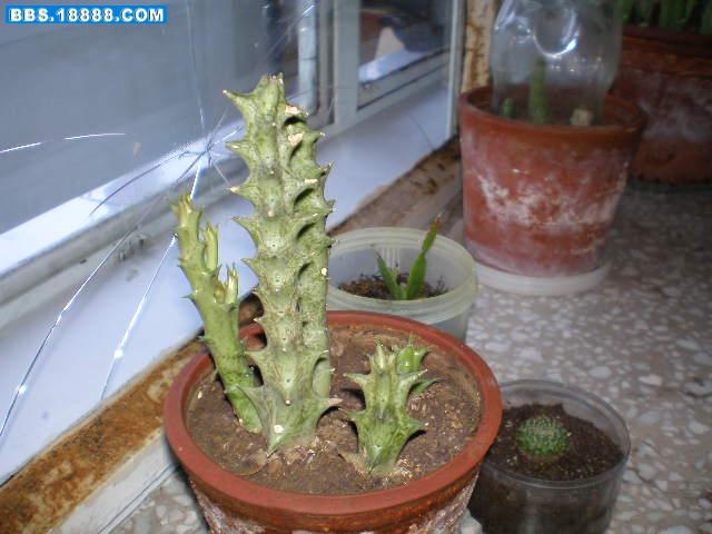 照片 058.jpg