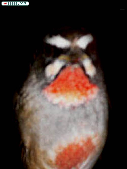 008.jpg