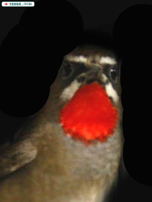 011.jpg