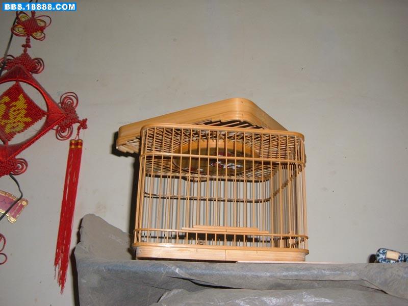 照片 238.jpg